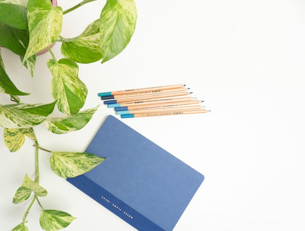 Découvrez le crayon à planter : un cadeau écolo et créatif